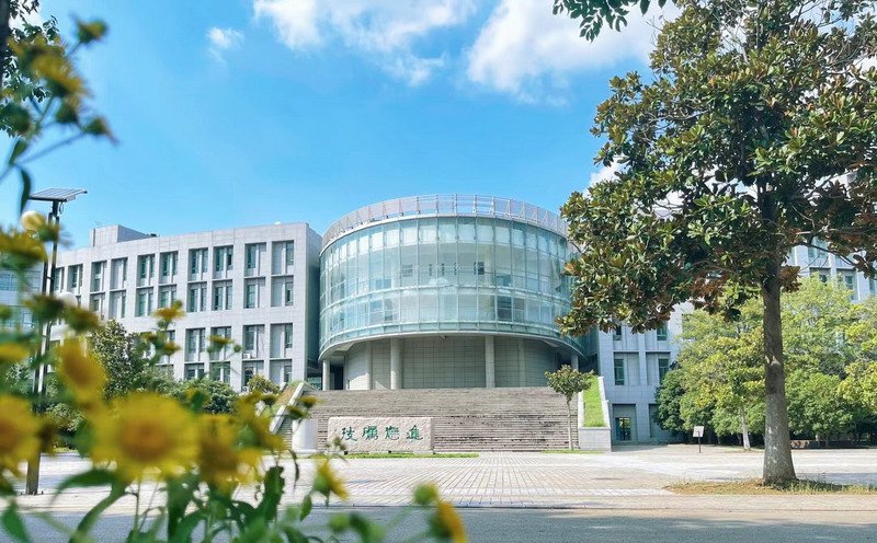 日出水了啊快点使劲动态图