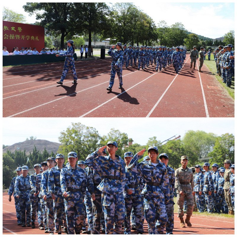 日出水了啊快点使劲动态图