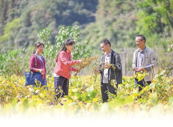 日出水了啊快点使劲动态图