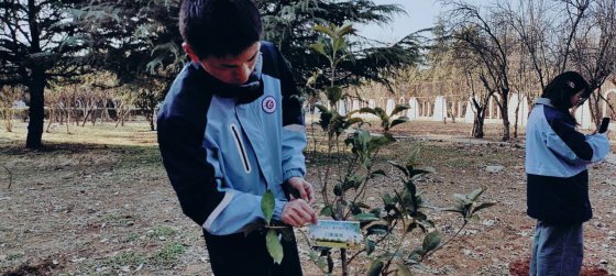 日出水了啊快点使劲动态图