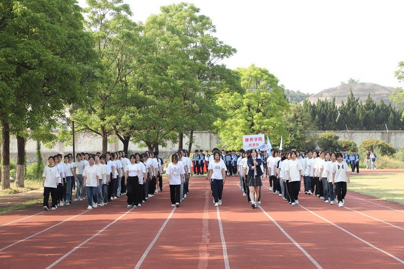 日出水了啊快点使劲动态图