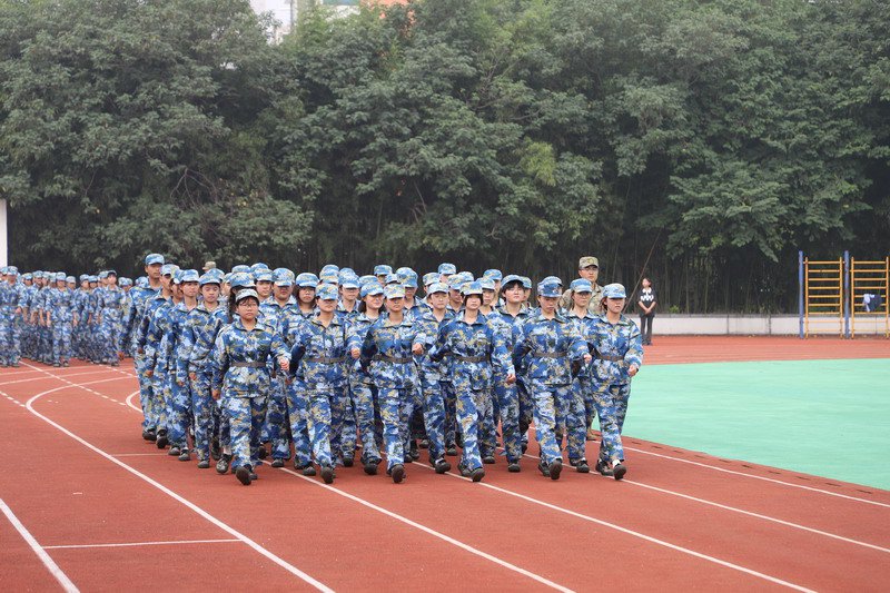 日出水了啊快点使劲动态图