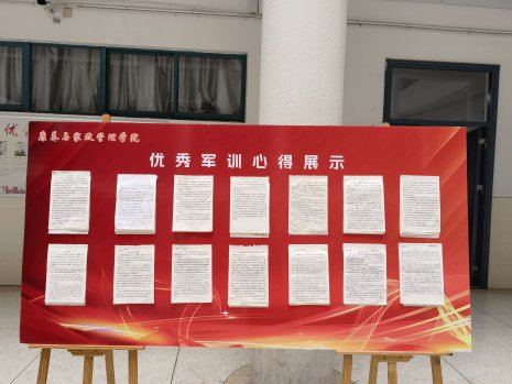 日出水了啊快点使劲动态图