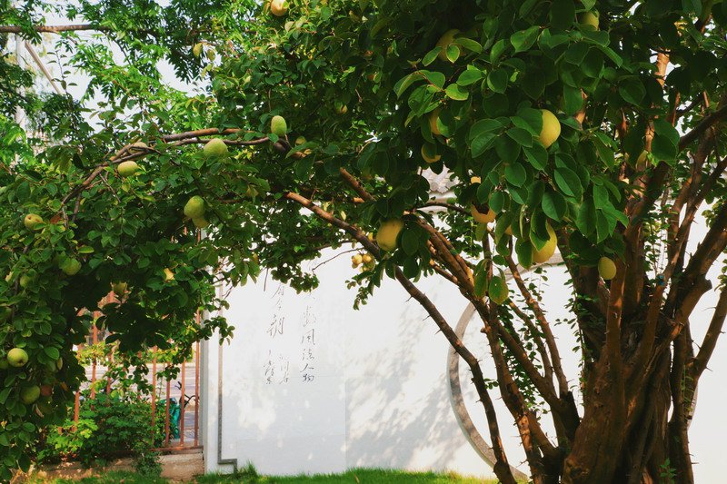 日出水了啊快点使劲动态图