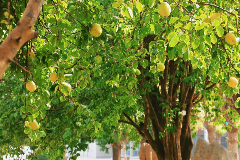 日出水了啊快点使劲动态图