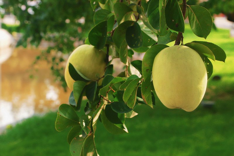 日出水了啊快点使劲动态图