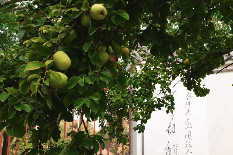 日出水了啊快点使劲动态图