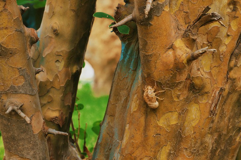 日出水了啊快点使劲动态图