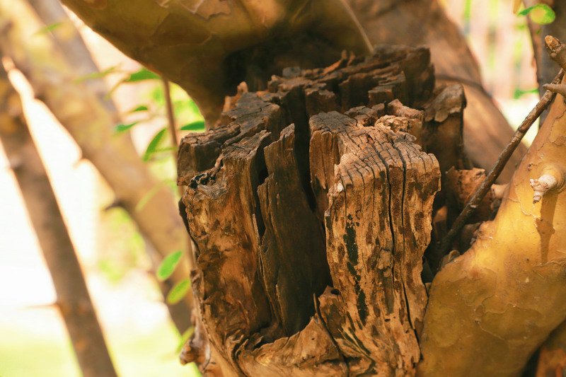 日出水了啊快点使劲动态图