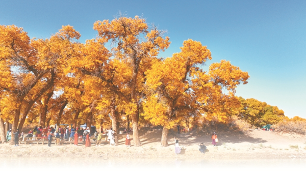 1.png 日出水了啊快点使劲动态图