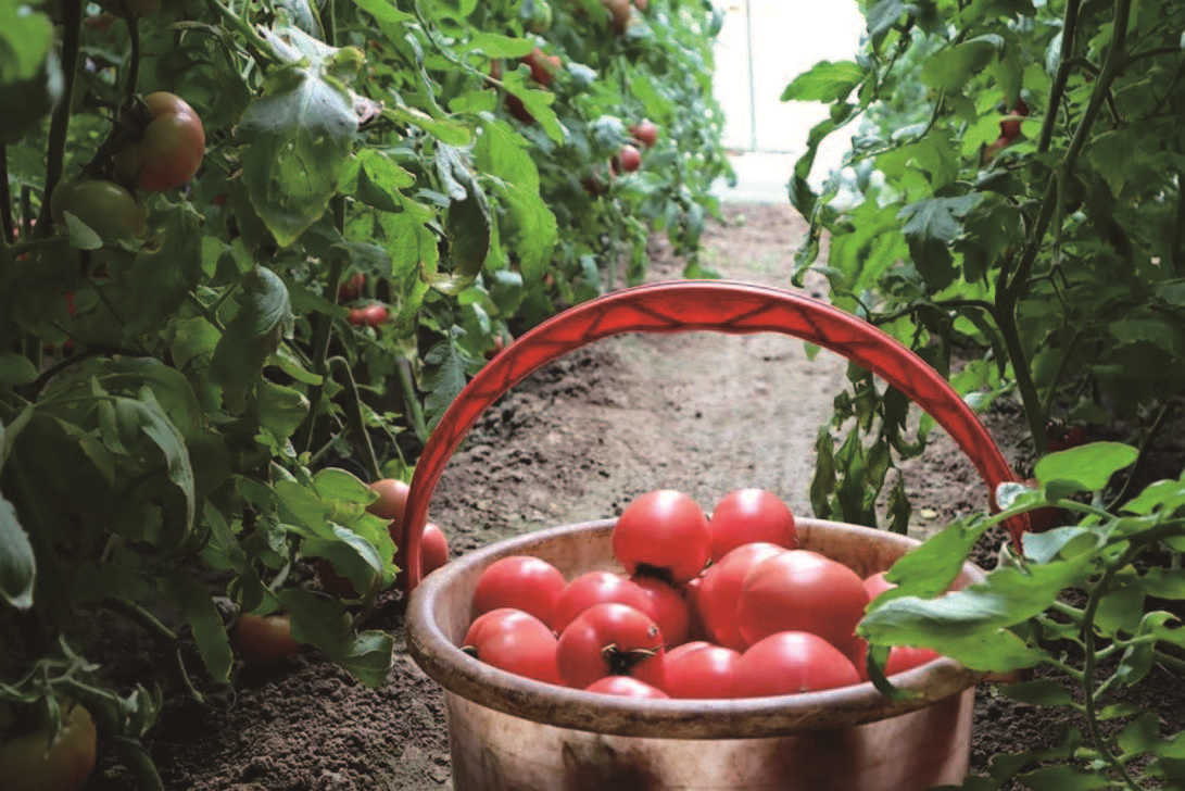 日出水了啊快点使劲动态图