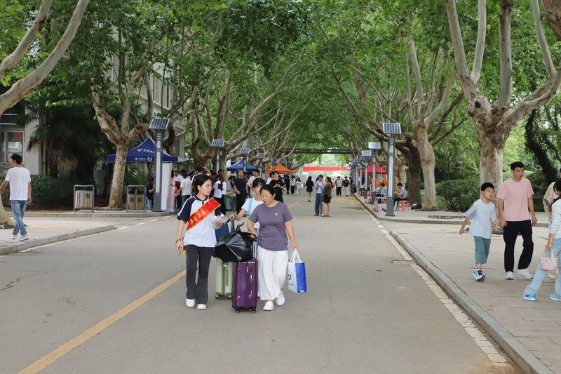 日出水了啊快点使劲动态图